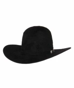 Rodeo King 10X Grizzly Black Hat