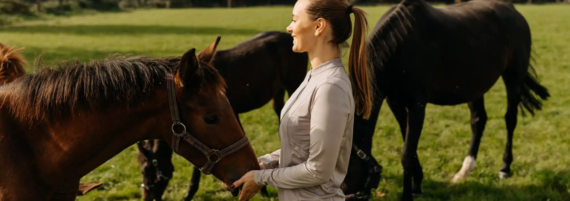 Apparel Line Shop -Apparel Line Shop mghjgfjh